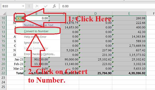 How to Convert All Text Format to Number Format in Excel in Single Click?